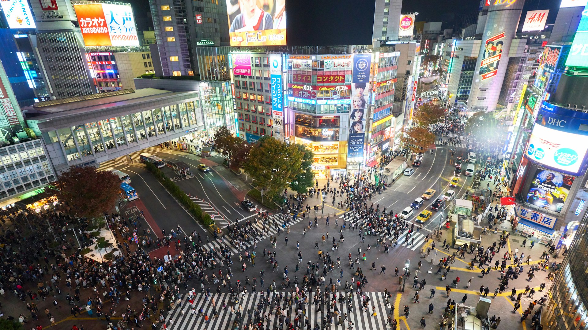 Gece ışıklarıyla Tokyo'da Shibuya kavşağı