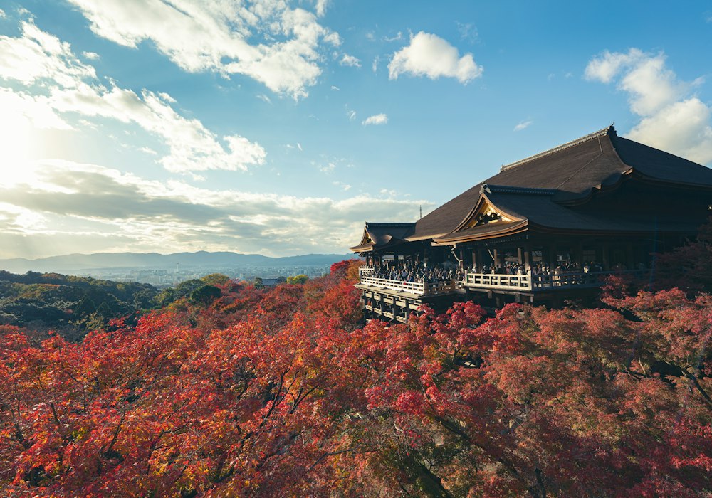Sonbaharda Kyoto'da ahşap Kiyomizu-dera Tapınağı